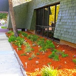 Image of Eden Springs Nursing And Rehab Center (4)