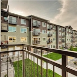 Image of Affinity at Olympia (2)