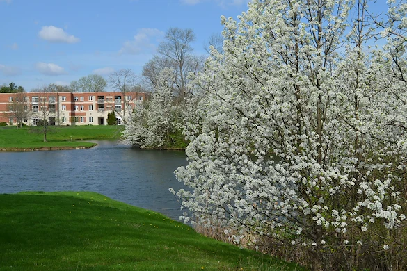 Image of Renaissance Retirement Campus (1)