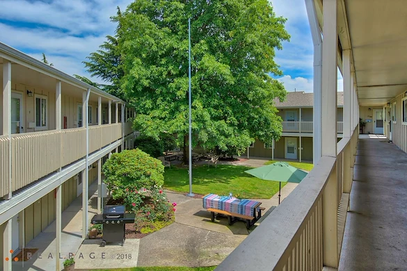 Image of Golden Elm (4)