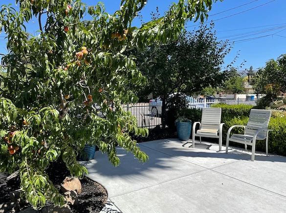 Image of Sonoma Oak Tree Home (6)