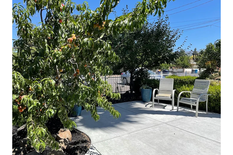 Image of Sonoma Oak Tree Home (6)