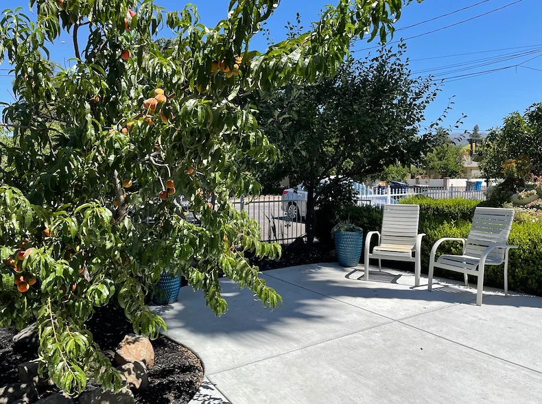 Image of Sonoma Oak Tree Home (6)