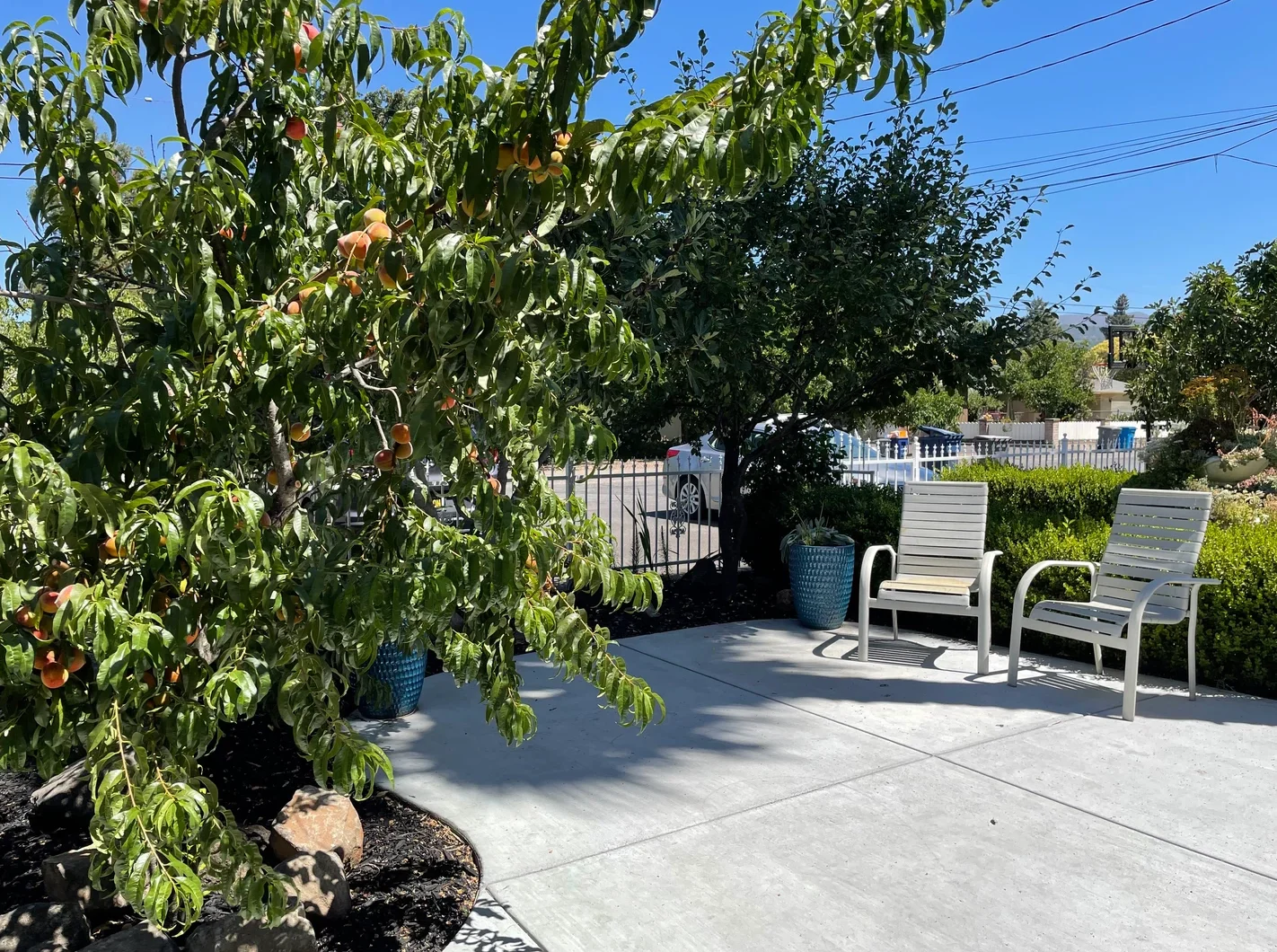 Image of Sonoma Oak Tree Home (6)