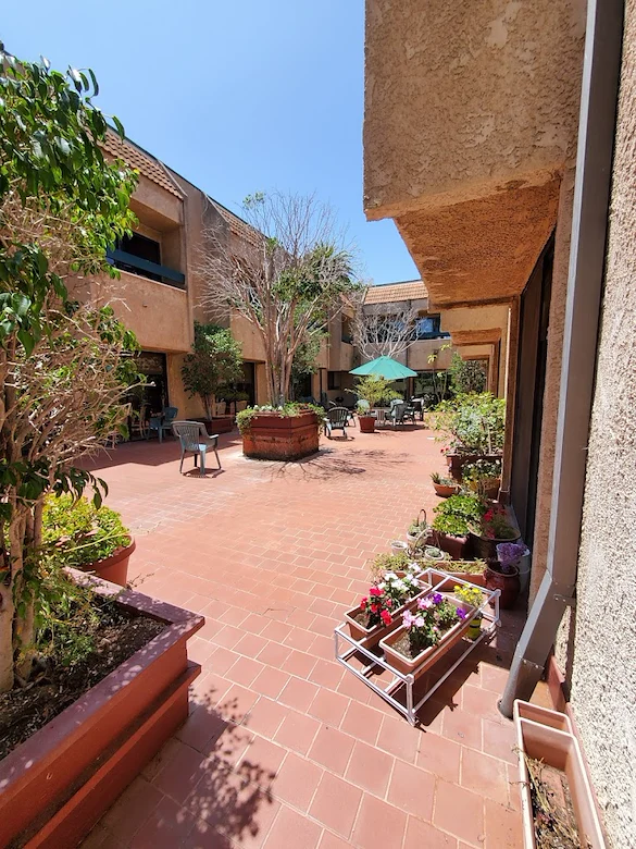 Image of Savant of Santa Monica (1)