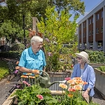 Image of Westminster Towers (7)