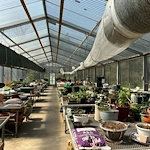 Image of Leisure Village Fox Lake (5)