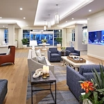 Image of Vivante on the Coast (4)