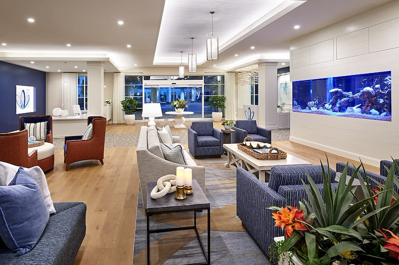 Image of Vivante on the Coast (4)