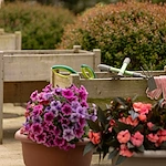 Image of Mira Vie at Brookfield (7)