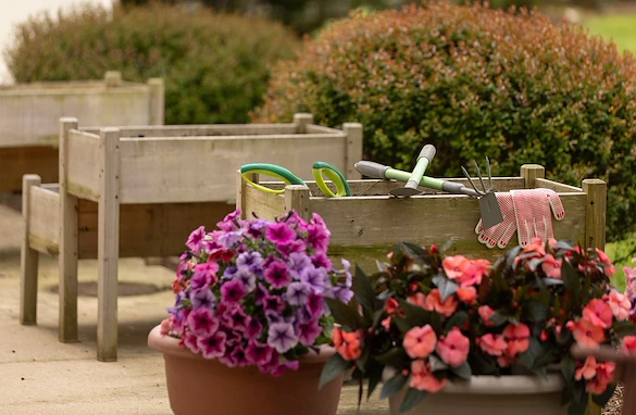 Image of Mira Vie at Brookfield (7)