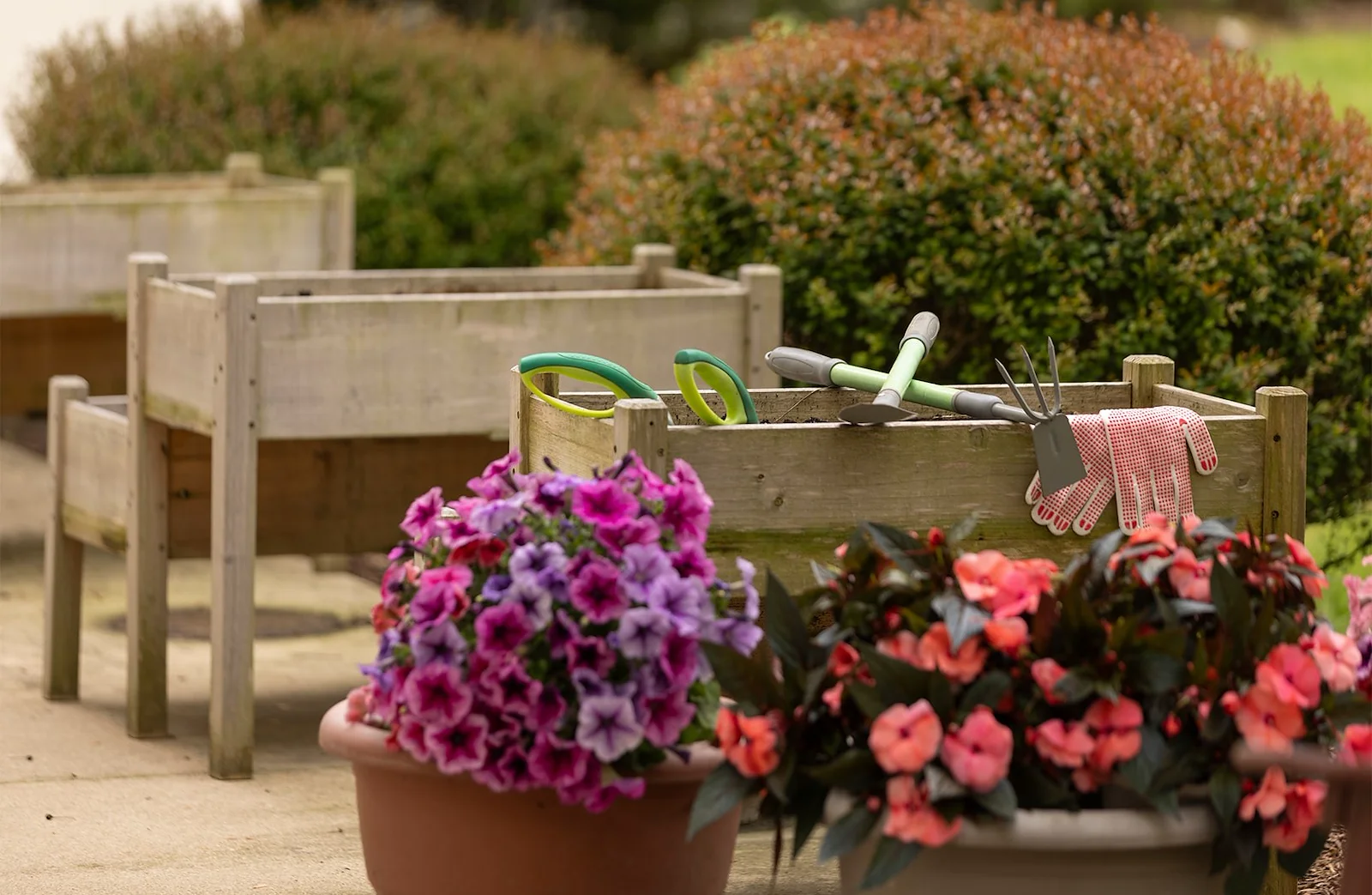 Image of Mira Vie at Brookfield (7)