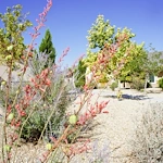 Image of GoodLife Senior Living El Paso (2)