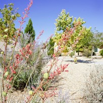 Image of GoodLife Senior Living El Paso (2)