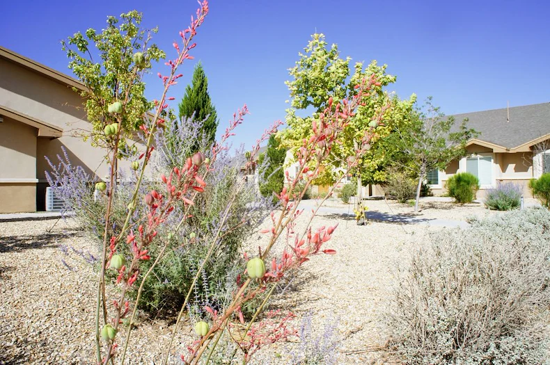 Image of GoodLife Senior Living El Paso (2)