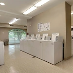 Image of Silver Gardens (9)