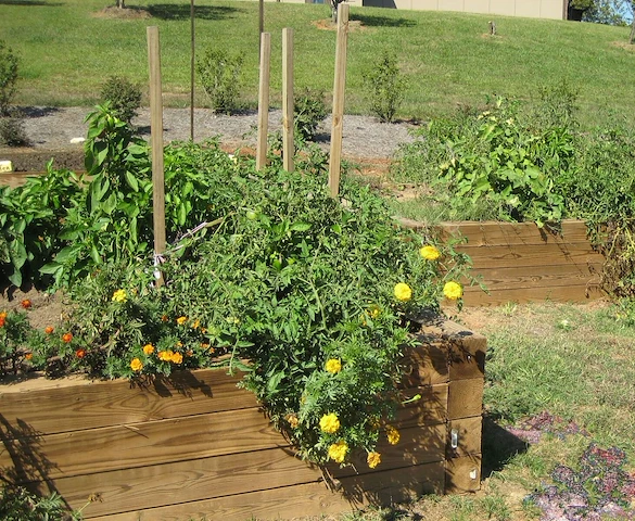 Image of Wellspring Village Senior Apartments (3)