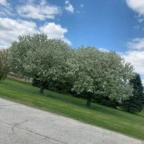 Image of The Meadows Assisted Living of Shell Rock (2)