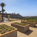 Image of Vienna at Santianna Memory Care (4)