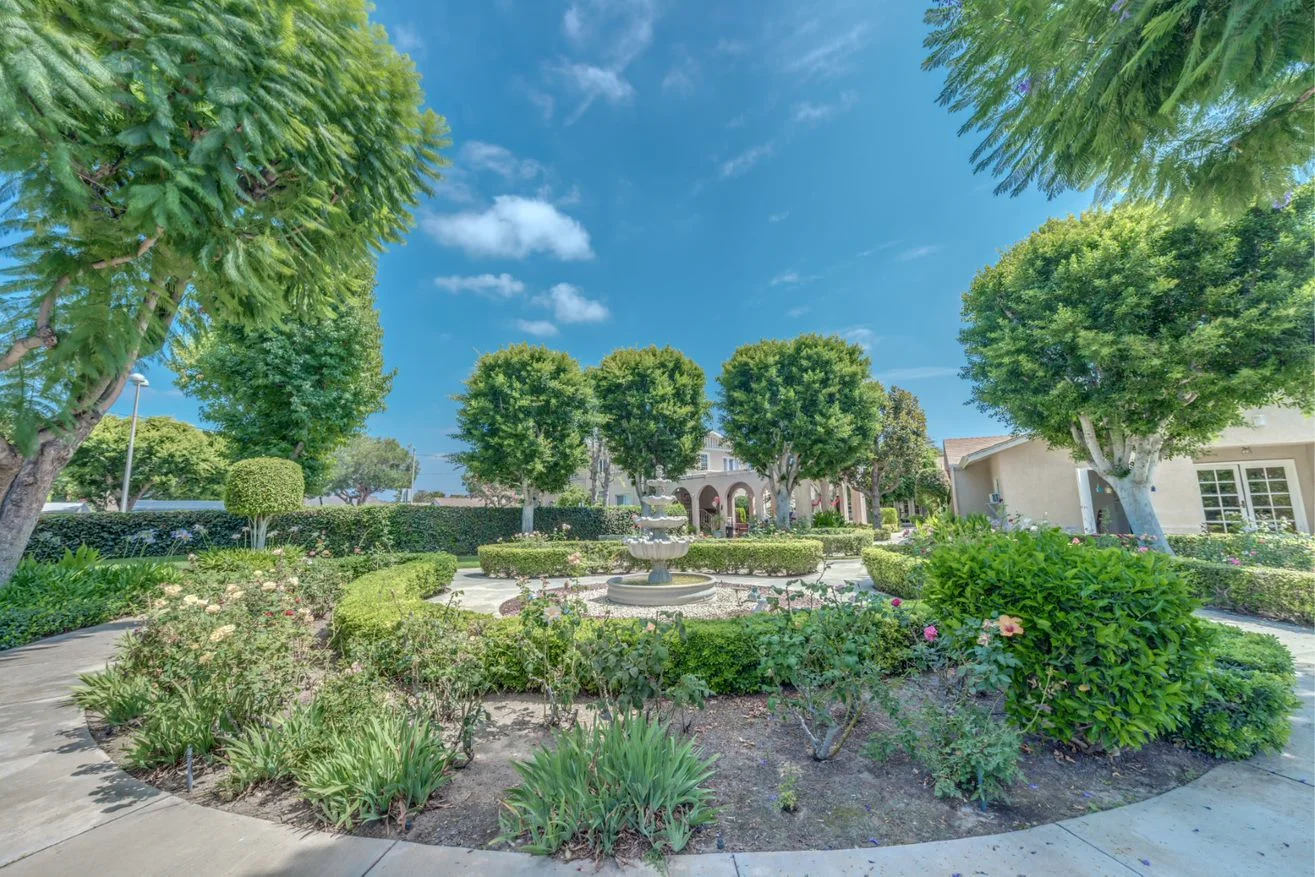 Image of Ivy Terrace at Fullerton (5)