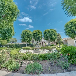 Image of Ivy Terrace at Fullerton (5)