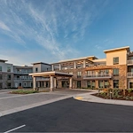 Image of Challigraphy at Napa Valley (1)