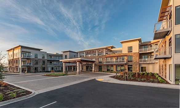 Image of Challigraphy at Napa Valley (1)