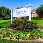 Image of Cariad at North Brook (1)