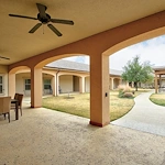 Image of Volante of Grapevine (8)