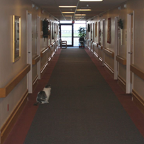 Image of Villa at River Ridge Assisted Living (3)