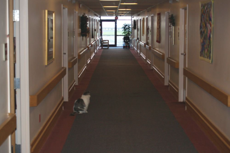 Image of Villa at River Ridge Assisted Living (3)