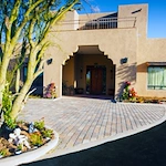 Image of Peach Tree (1)