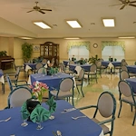 Image of Laurels Of Salisbury (4)