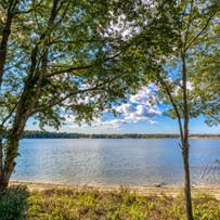 Image of Lake Shore of Lake Ronkonkoma (4)