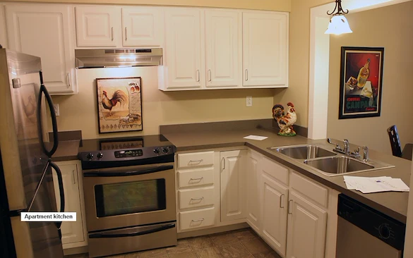 La Grange Pointe Independent Living Kitchen 