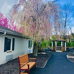 Image of Allegria at the Oaks (6)