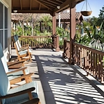 Image of Ivy Park at La Palma (8)