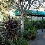 Image of Community Care On Palm (1)