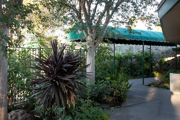 Image of Community Care On Palm (1)