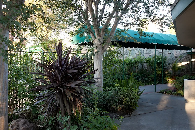 Image of Community Care On Palm (1)