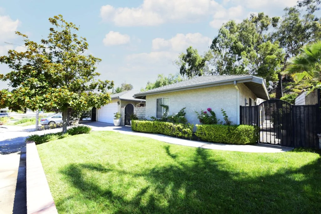 Image of Blue Skies of Laguna Niguel (1)