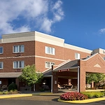 Image of Strabane Woods (1)