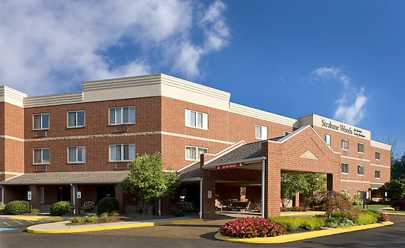 Image of Strabane Woods (1)