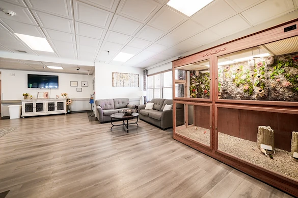 Image of Springs Village Care Center (8)