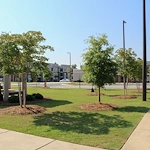Image of Highland Terrace (10)
