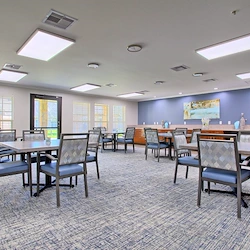 Image of The Shoal (3)