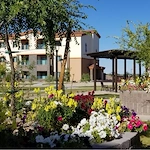 Courtyard with pergola & bocce ball court