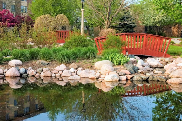 Avina of Milwaukee assisted living and independent living in Milwaukee, WI, serene outdoor area with a pond
