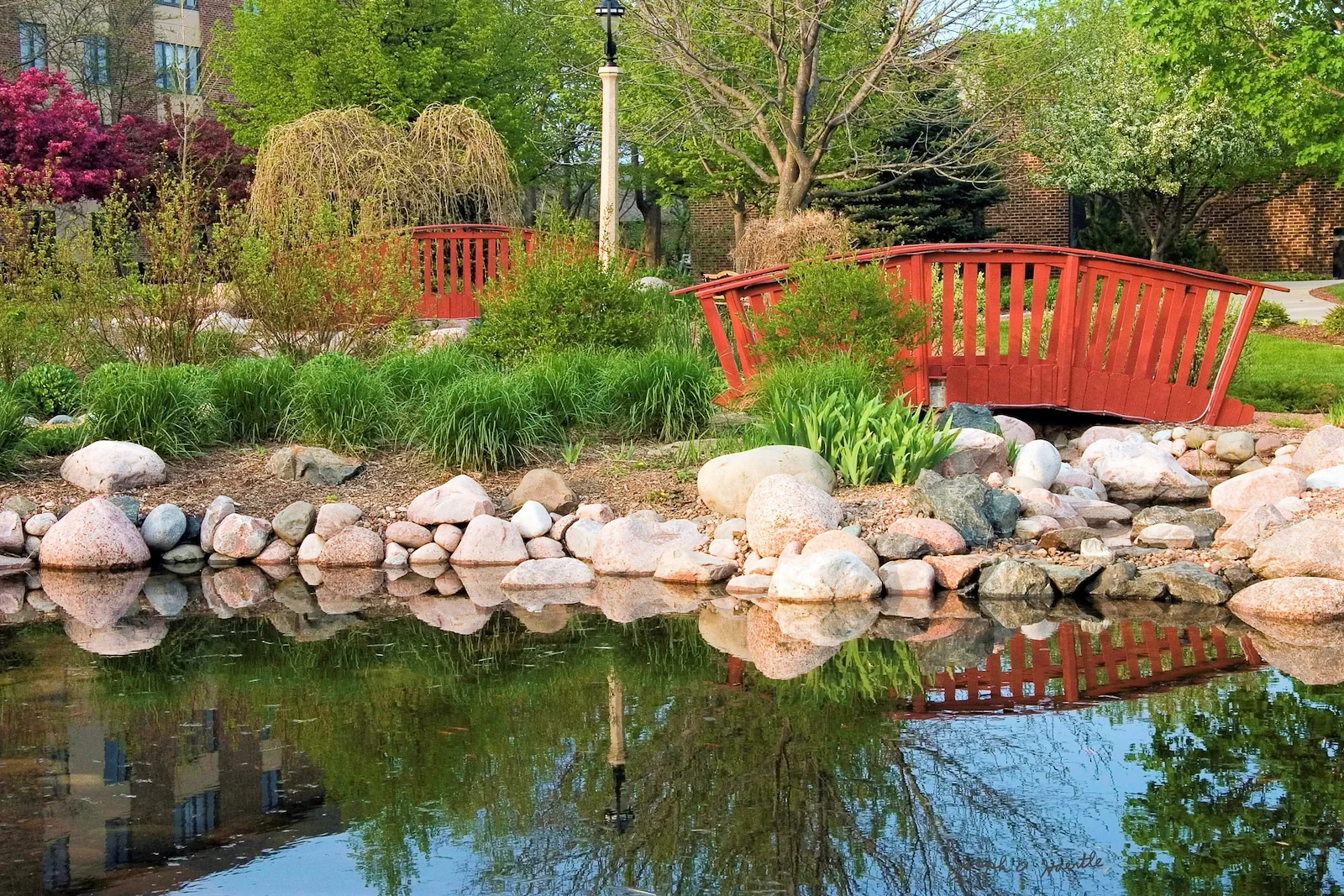 Avina of Milwaukee assisted living and independent living in Milwaukee, WI, serene outdoor area with a pond