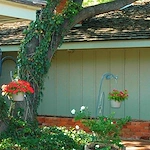 Image of Promiseland Assisted Living II (2)